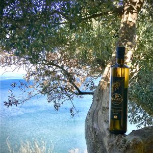 500 ML Cam Şişe Natürel Sızma Zeytinyağı